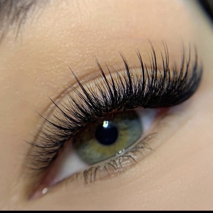 Bold Browz
