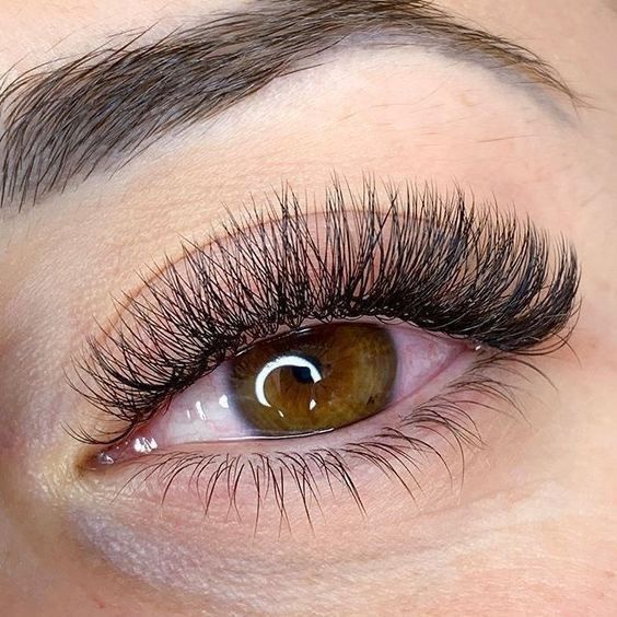 Bold Browz