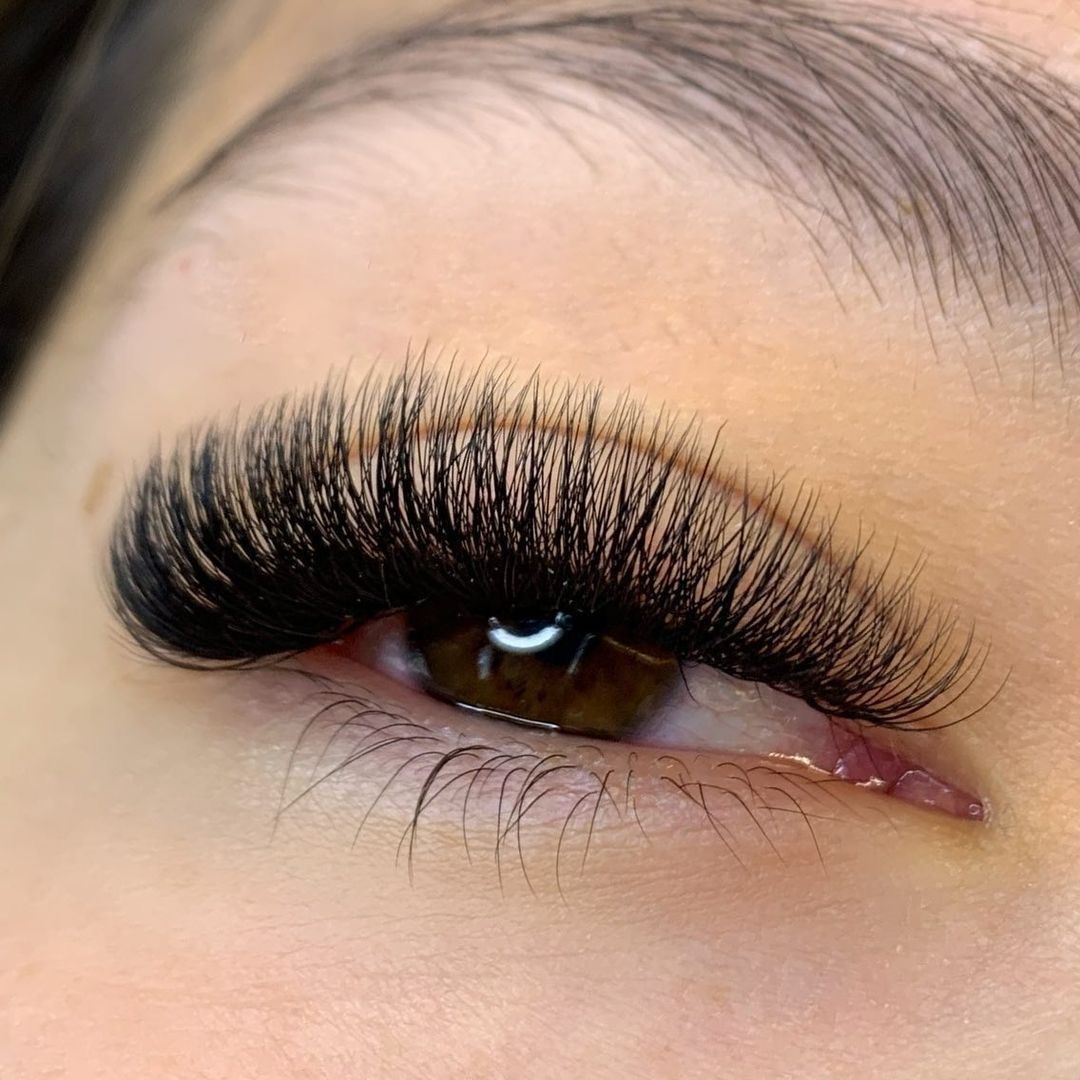 Bold Browz
