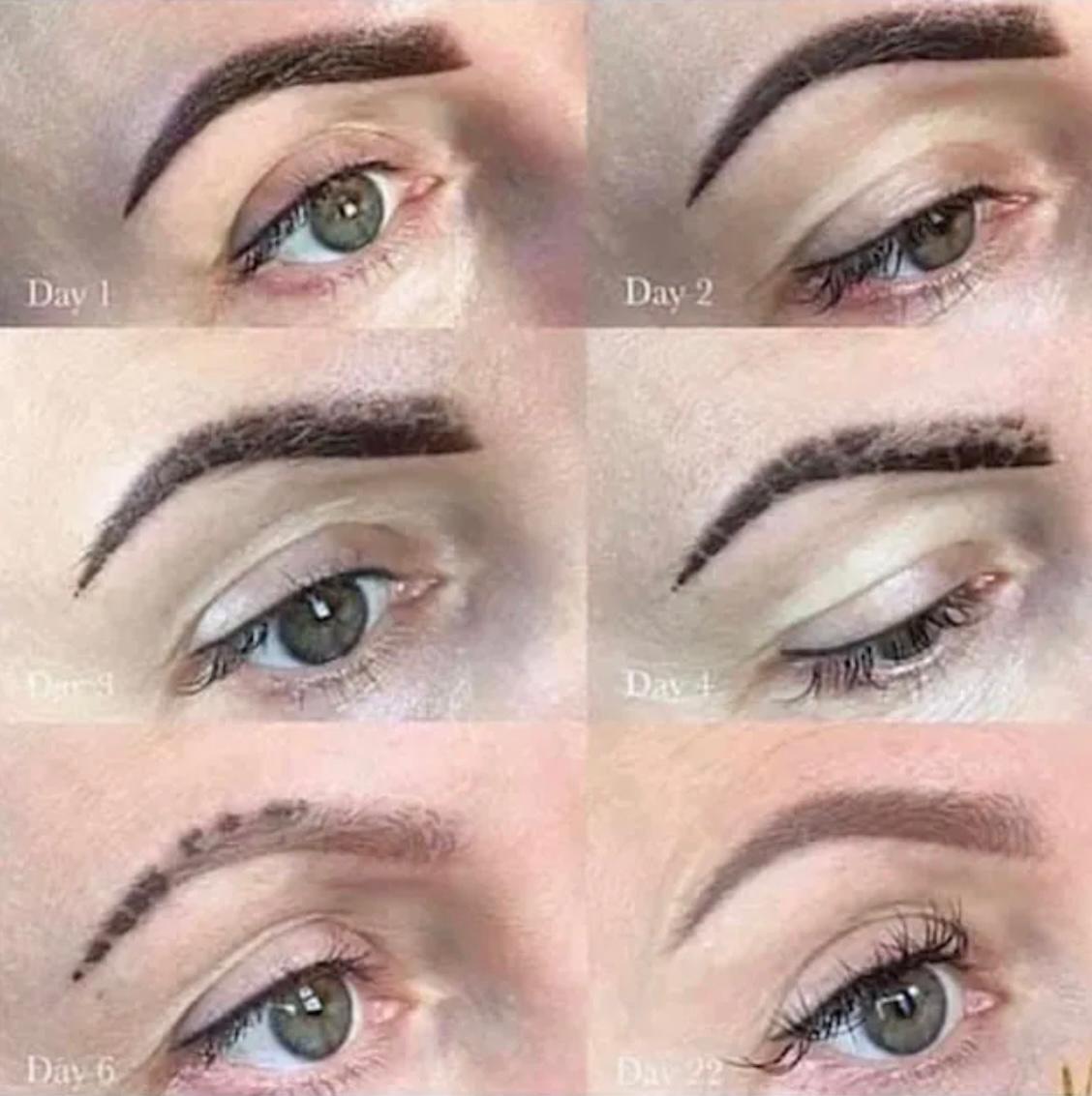 Bold Browz